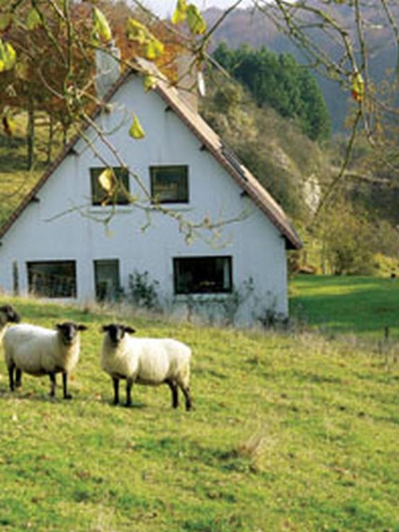 Chambre D'Hotes Les Champarts Tourville-la-Chapelle Dış mekan fotoğraf