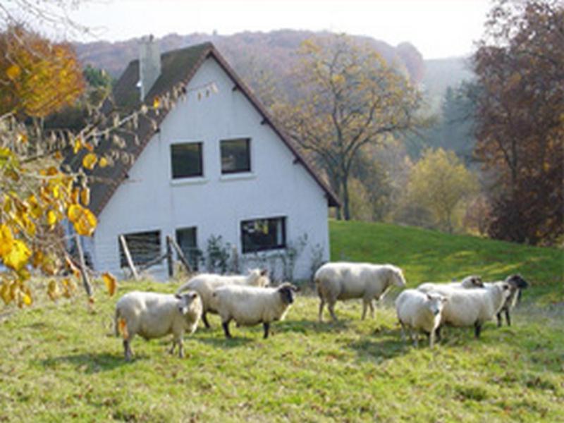 Chambre D'Hotes Les Champarts Tourville-la-Chapelle Dış mekan fotoğraf